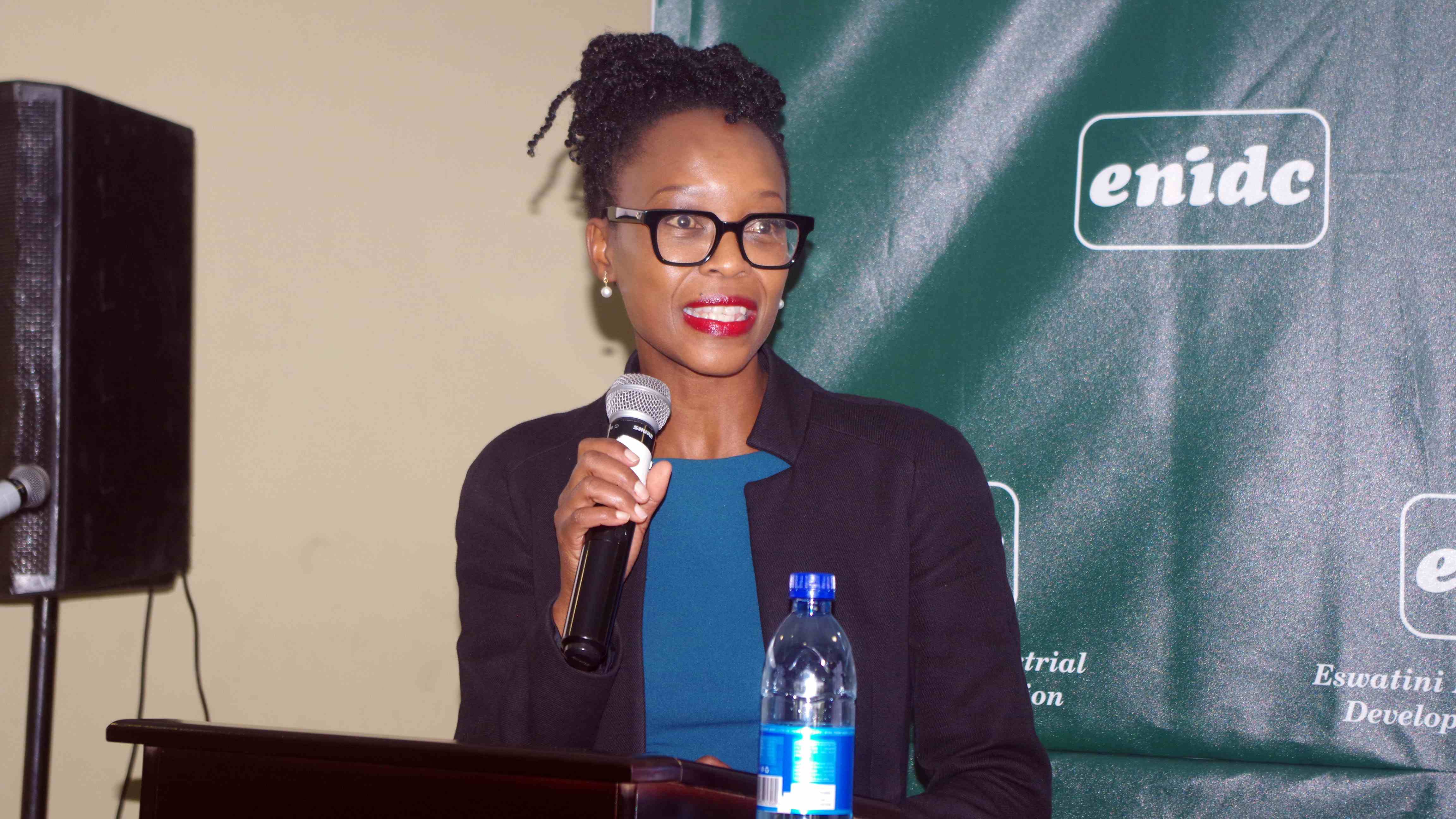 Industrial Development Corporation, South Africa Acting Divisional Corporate Affairs and Strategy Phiwe Marumo, made a presentation on the role of her organisation in financing development in southern Africa. 